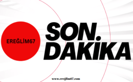 11 il sallandı…