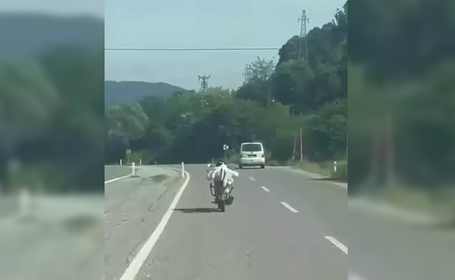 Yüzüstü uzanarak motosiklet kullandı… Ceza kesildi…