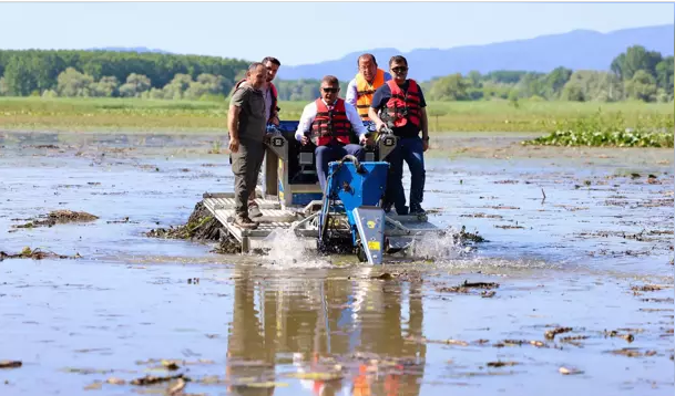 Vali, saz kesme makinesi ile gölü temizledi…