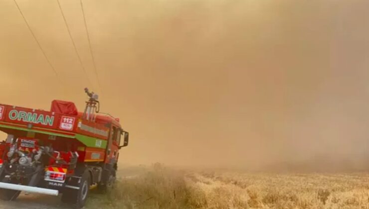 Arazide çıkan yangın ormana sıçradı…