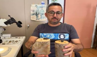 Dedektör köpekler, zararlı böcekleri tespit edecek…