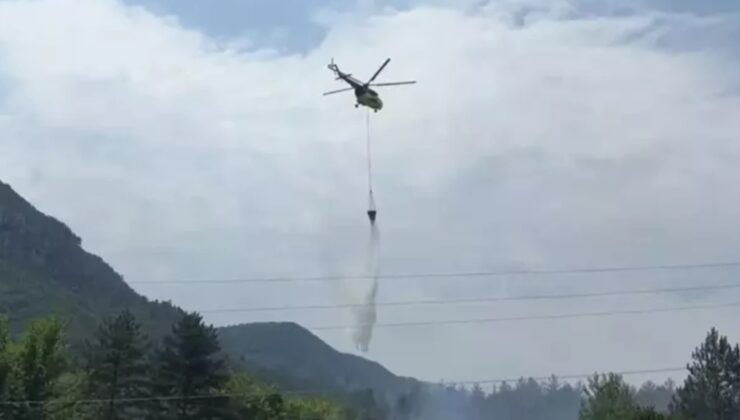 Tarlada başlayan yangın ormana sıçradı…