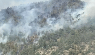 Alevler hızla yayıldı…