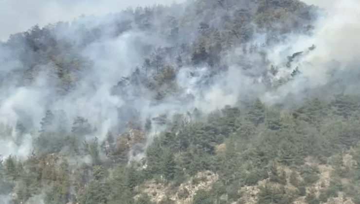 Alevler hızla yayıldı…