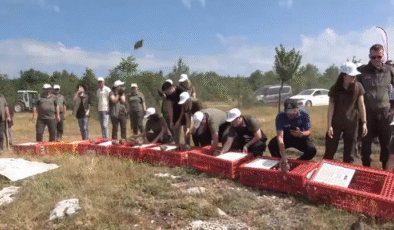 2 bin 100 kınalı keklik doğaya salındı…