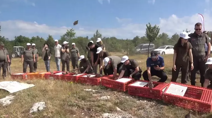 2 bin 100 kınalı keklik doğaya salındı…