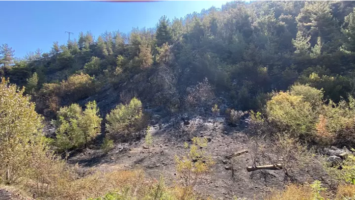 Çıkan yangında 55 hektar zarar gördü…