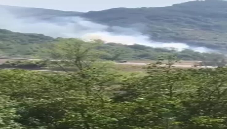 Orman yangını büyümeden söndürüldü…