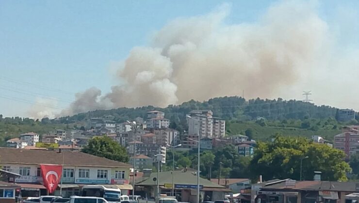 Alaplı alevlere teslim… Ekipler sevk edildi…