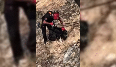 Kayalıklarda köpek kurtarma operasyonu…