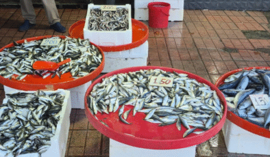 Balık kıtlığı… Bu sezon tezgahlar boş!