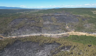 Orman yangınlarına müdahale sürüyor…