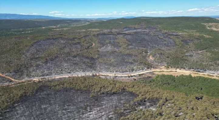 Orman yangınlarına müdahale sürüyor…