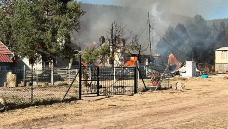 Yayladaki yangında 12 yapı kullanılamaz hale geldi…