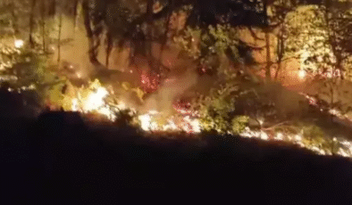 Orman yangını; 2 saatte kontrol altında…