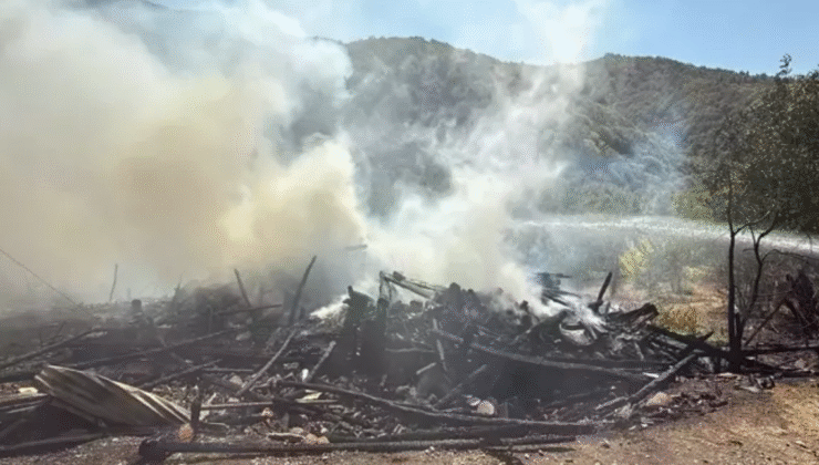 Evde çıkan yangın, ormana sıçradı…