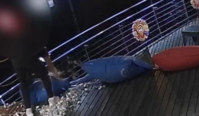 Kafeye saldırdılar… Kameralara yansıdı…