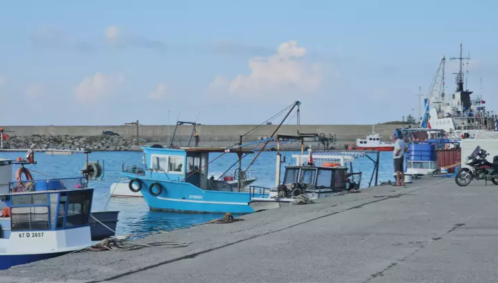 Balıkçıların avı verimli geçmedi…