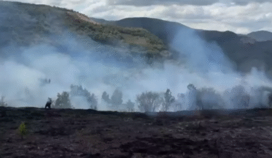 Bahçede yangın çıktı… 30 dönüm alan zarar gördü…