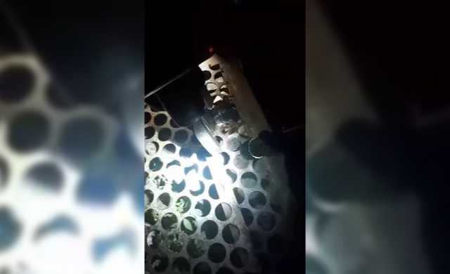 Kurtarılan yavru kediye ‘Mazgal’ adı verildi…