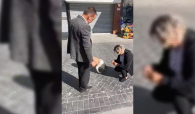 Patisini ezdikleri köpeği bulup mama verdi…