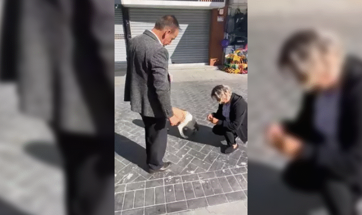 Patisini ezdikleri köpeği bulup mama verdi…
