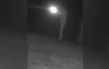 Fotokapan yerleştirildi… Kaçak avcılara ceza kesildi…