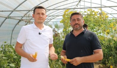 Ata Tohumu projesi katlanarak büyüyor…