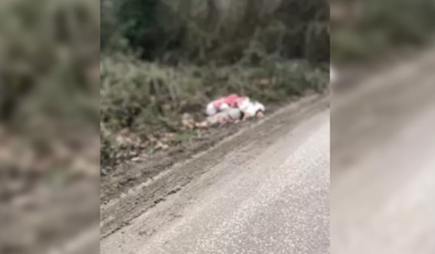 TIR ile gelen göçmenler yakalandı… 1 kişi ölü bulundu…