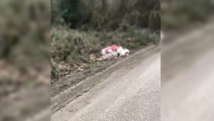 TIR ile gelen göçmenler yakalandı… 1 kişi ölü bulundu…