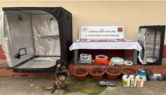 Eş zamanlı U*uşturucu operasyonu…