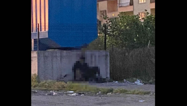 Köpeğe c*nsel istismar… Gözaltı var…
