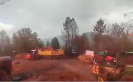 Orman işçilerinin yakınına yıldırım düştü; o anlar kamerada