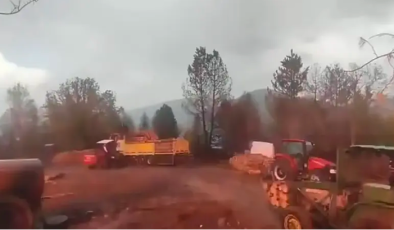 Orman işçilerinin yakınına yıldırım düştü; o anlar kamerada