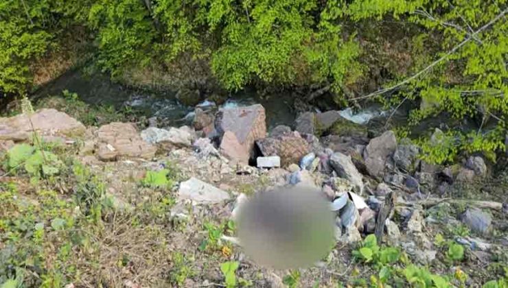 Binlerce saat kamera kaydı incelendi, c*nayet şüphelisi bir günde yakalandı…