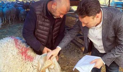 Pazar denetlendi, kurban yakalama timi kuruldu…