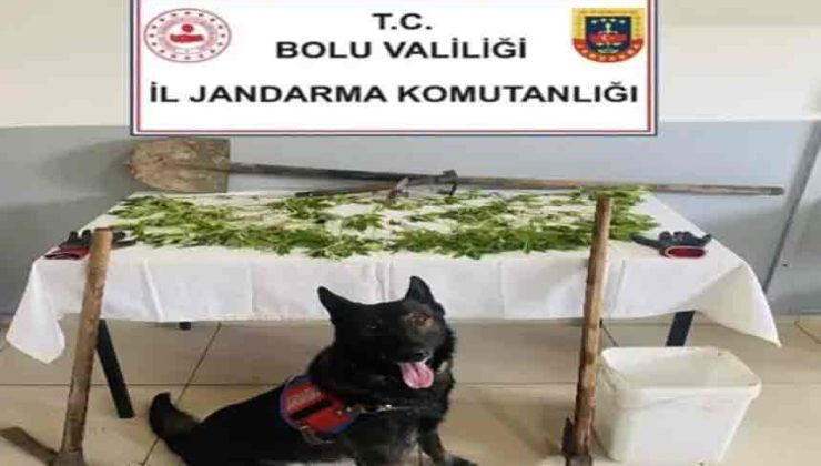 K*nevir eken şüpheli tutuklandı…