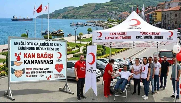 Galericiler sitesinden kampanyaya davet…