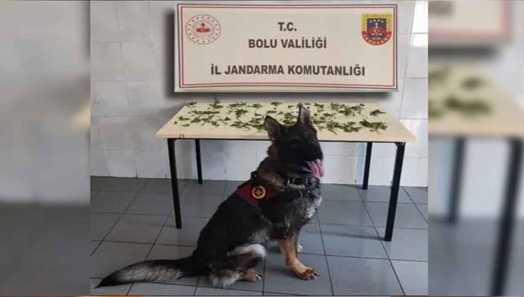 K*nevir operasyonu: 3 tutuklama
