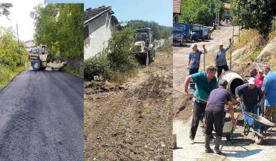 Ereğli’de Bozkurt, Yukarıhocalar’da Kızılarslan…