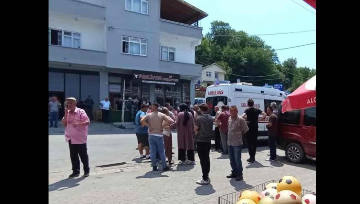 Arı sokması sonucu yoğun bakıma kaldırıldı…