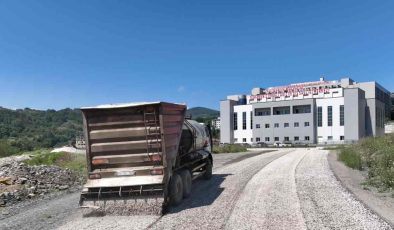 Ulaşım sorununa Başkan Posbıyık el attı…